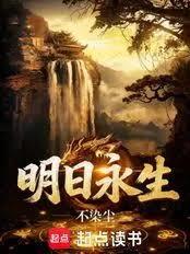 ����С˵:��������