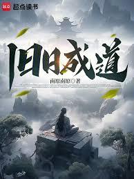 ����С˵:���ճɵ�