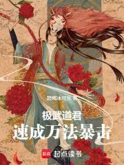 ����С˵:����������ٳ��򷨱���