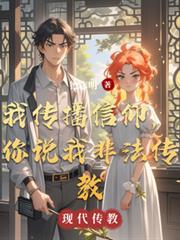 ����С˵:�Ҵ�����������˵�ҷǷ�����