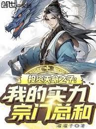 ����С˵:Ͷ������֮�ӣ��ҵ�ʵ�������ܺ�