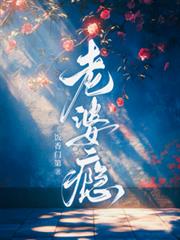 ����С˵:�����