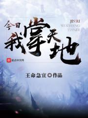 ����С˵:��������