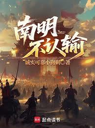 ����С˵:����������