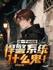 ����С˵:��һ��С���⣬����ϵͳʲô����