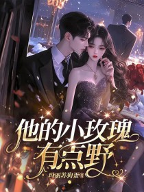 ����С˵:����Сõ�壬�е�Ұ