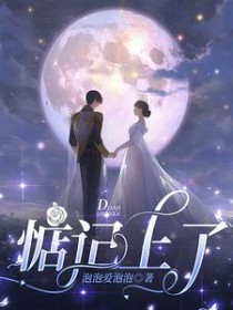 ����С˵:�������