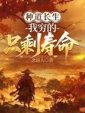 ����С˵:�ֵ������������ֻʣ������