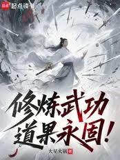 ����С˵:�����书���������̣�