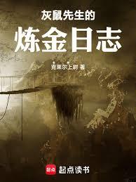 ����С˵:����������������־