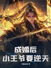 ����С˵:��˫����