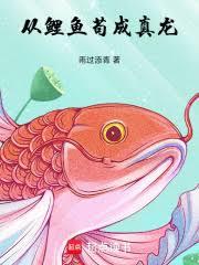 ����С˵:�����㹶������