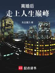 ����С˵:�������������۷�