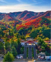 ����С˵:����ɽ