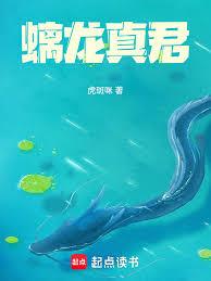 ����С˵:������