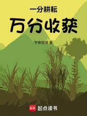 ����С˵:һ�ָ��ţ�����ջ�