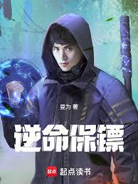 ����С˵:��������