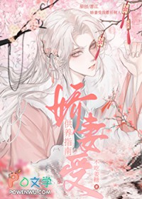 ����С˵:�����ܹ���ָ��