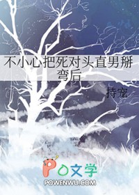 ����С˵:��С�İ�����ͷֱ�������