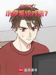 ����С˵:����ѧ�ˣ�Сѧϵͳ������