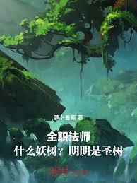 ����С˵:ȫְ��ʦ��ʲô������������ʥ��