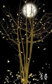 ����С˵:�����޳�������Դ