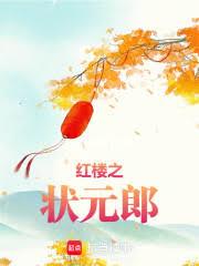 ����С˵:��¥֮״Ԫ��