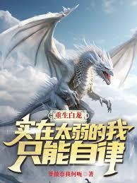 ����С˵:����������ʵ��̫������ֻ������