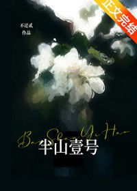 ����С˵:��ɽҼ��