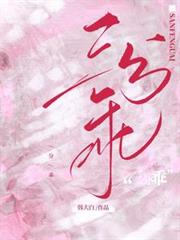 ����С˵:���ֹ�