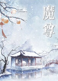 ����С˵:ħ�������а��¹�