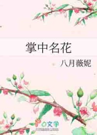 ����С˵:��������