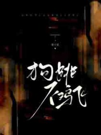 ����С˵:����������