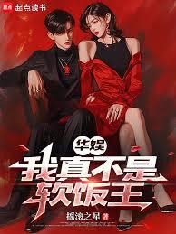 ����С˵:���飺���治��������