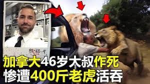 ����С˵:����ĩ�գ���������