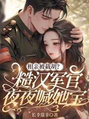 ����С˵:���ױ��غ����ں�����ҹҹ������