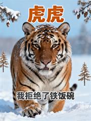 ����С˵:�����Ҿܾ���������