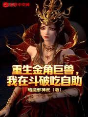 ����С˵:������Ǿ��ޣ����ڶ��Ƴ�����