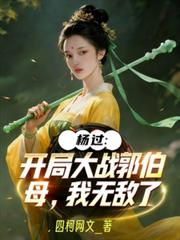 ����С˵:��������ִ�ս����ĸ�����޵���