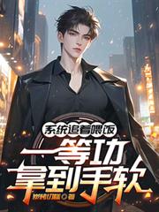 ����С˵:ϵͳ׷��ι����һ�ȹ��õ�����