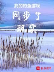 ����С˵:�ҵ����Ż�����