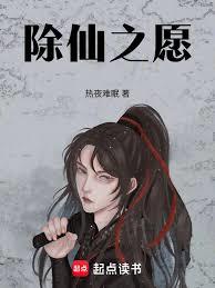 ����С˵:����֮Ը