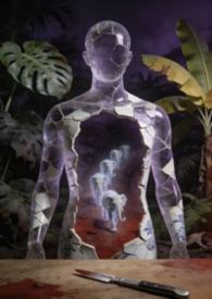 ����С˵:�ŵ�Ů