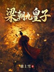 ����С˵:�����Ż���