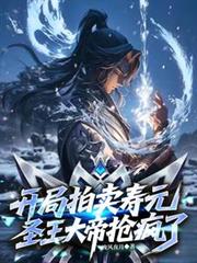 ����С˵:����������Ԫ��ʥ����۶�������