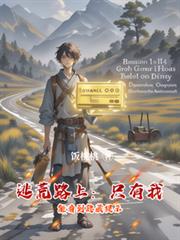 ����С˵:�ӻ�·�ϣ�ֻ�����ܿ���������ʾ