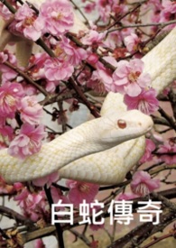 ����С˵:���ߴ���