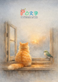 ����С˵:�����е��ص���