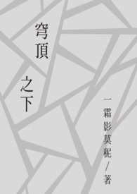 ����С˵:񷶥֮��