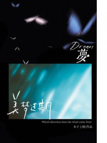 ����С˵:���ι���